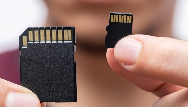 MicroSD con Adattatore Kingston da 64 Giga